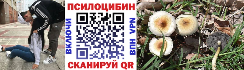 Купить  Верея  Галлюциногенные грибы Magic Shrooms 