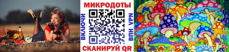 Псилоцибиновые грибы прущие грибы Верея