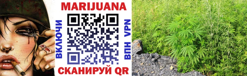 Конопля SATIVA & INDICA Верея